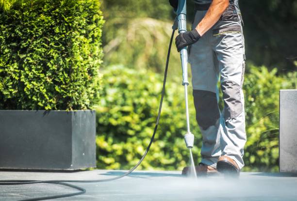 Best Dumpster Area Cleaning  in Mount Morris, IL