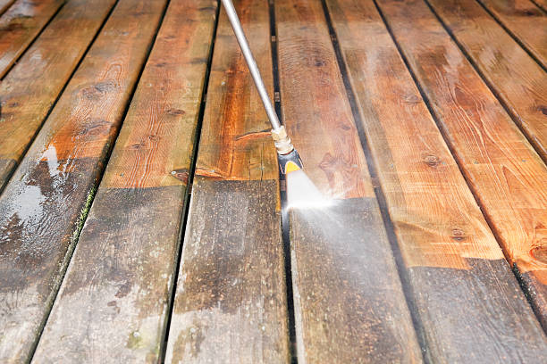 Best Spring Cleaning  in Mount Morris, IL